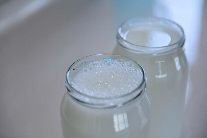 Litre fiyatı 150 lira olan eşek sütüne yoğun ilgi