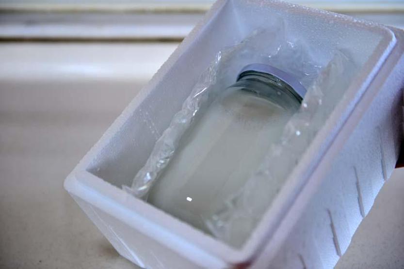 Litre fiyatı 150 lira olan eşek sütüne yoğun ilgi