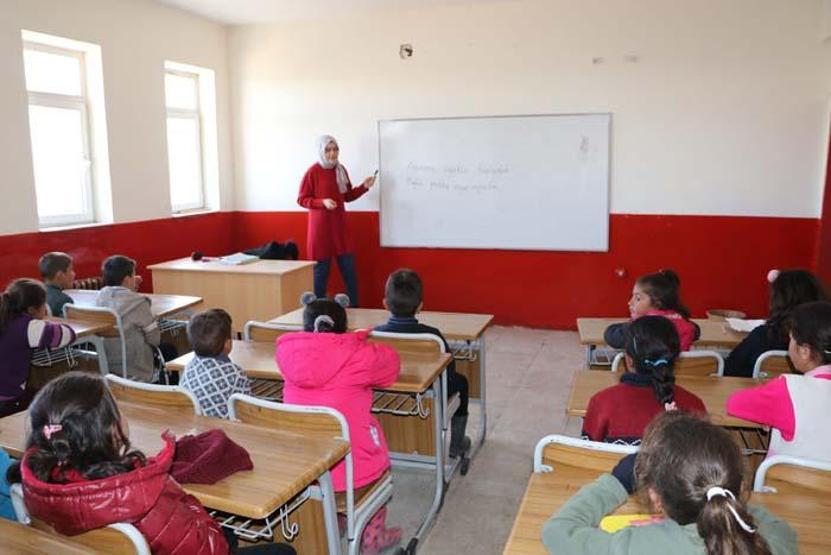 Vanda 15 gün sonra dersbaşı