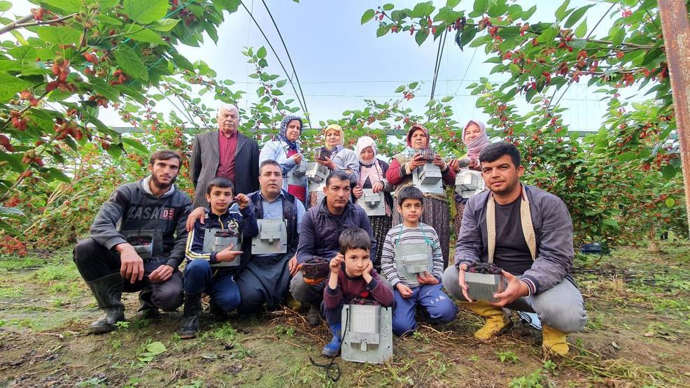 Yılın ilk karadutu Silifkeden Kilosu 15 lira