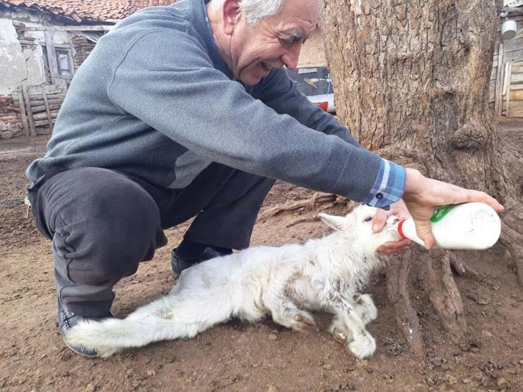 Sahibi elleriyle besliyor Görenleri şaşkına çevirdi
