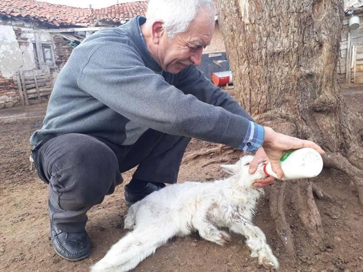 Sahibi elleriyle besliyor Görenleri şaşkına çevirdi