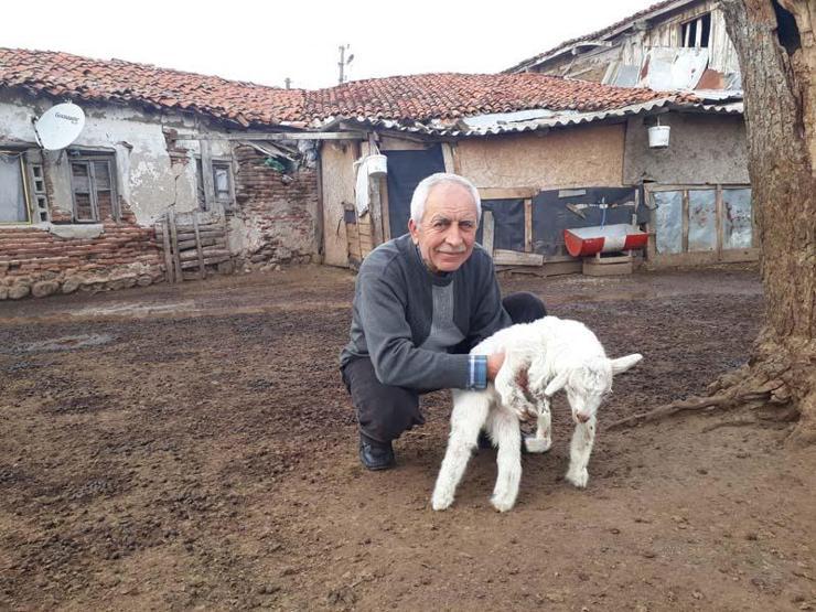 Sahibi elleriyle besliyor Görenleri şaşkına çevirdi