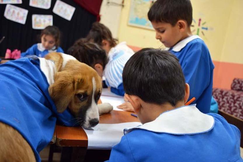 Fındık Tokatta toprağa verildi