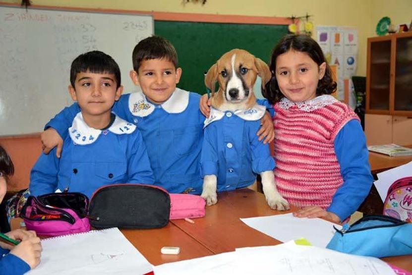 Fındık Tokatta toprağa verildi