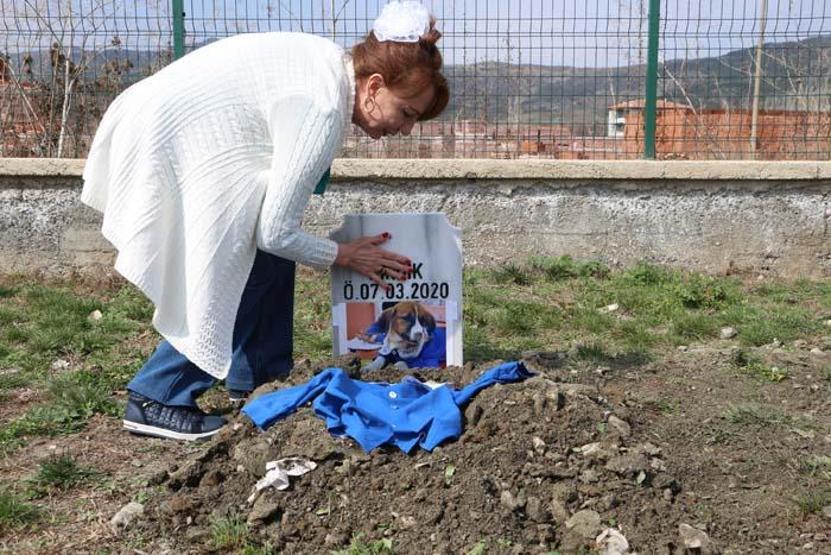 Fındık Tokatta toprağa verildi