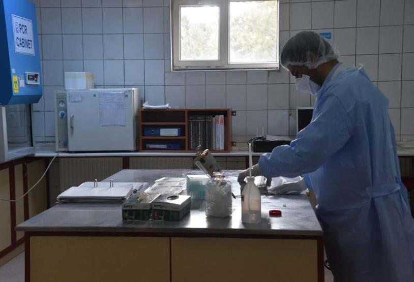 Erzurumda incelenen 124 numune negatif çıktı