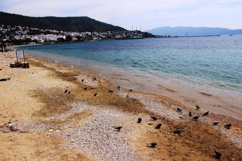 Bodrumda sahil ve sokaklar bomboş