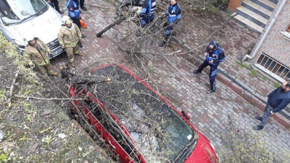 Otomobil bariyeri parçalayıp 5 metre yükseklikten uçtu