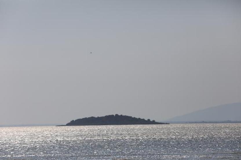 Bursada satılık adaya ilgiyi artırdı