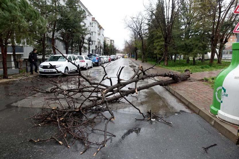 ‘Turuncu’ uyarı sonrası ağaçlar devrildi, çatı uçtu