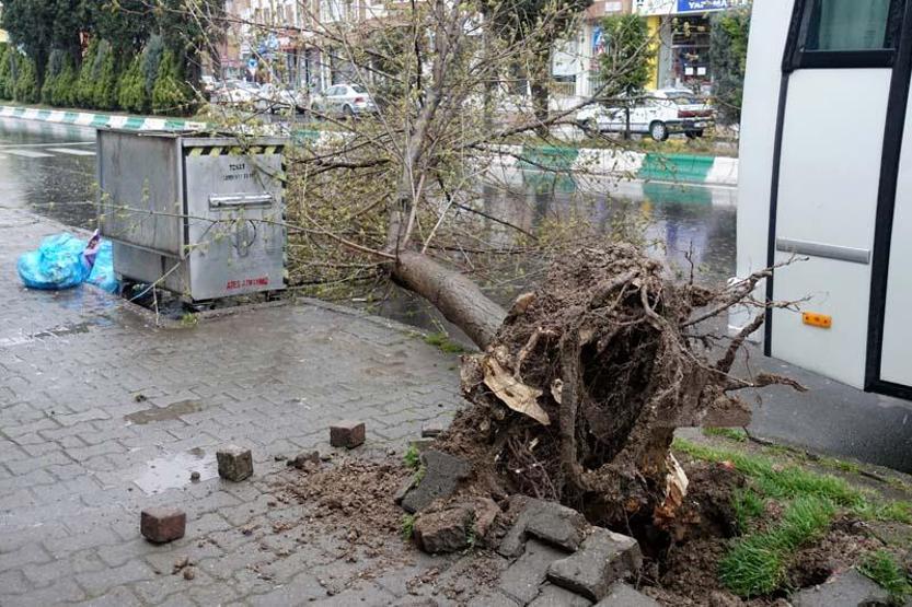 ‘Turuncu’ uyarı sonrası ağaçlar devrildi, çatı uçtu