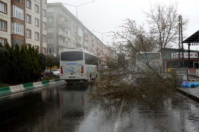 ‘Turuncu’ uyarı sonrası ağaçlar devrildi, çatı uçtu