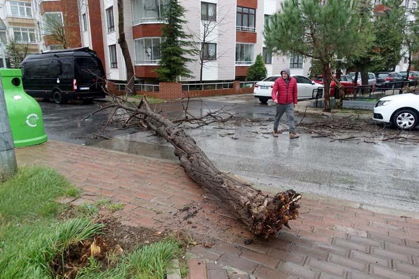 ‘Turuncu’ uyarı sonrası ağaçlar devrildi, çatı uçtu