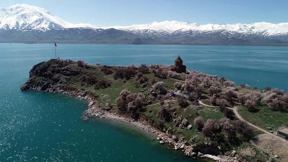 Akdamar Adasında badem ağaçları çiçek açtı