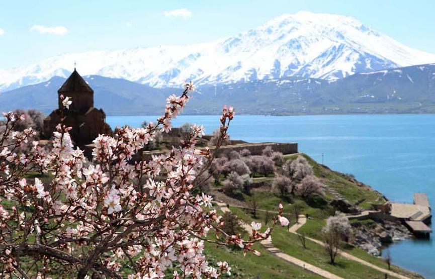 Akdamar Adasında badem ağaçları çiçek açtı