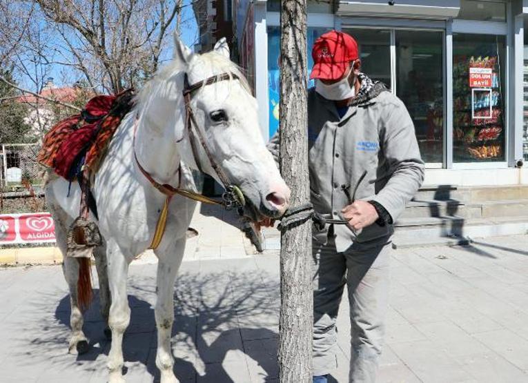 Cirit sporcusu, toplu taşıma yerine atını kullanıyor