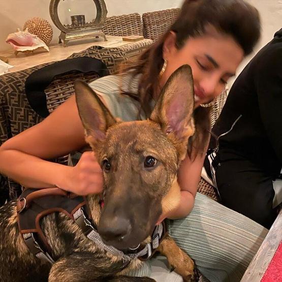 Priyanka Chopra: Anne olmak istiyorum