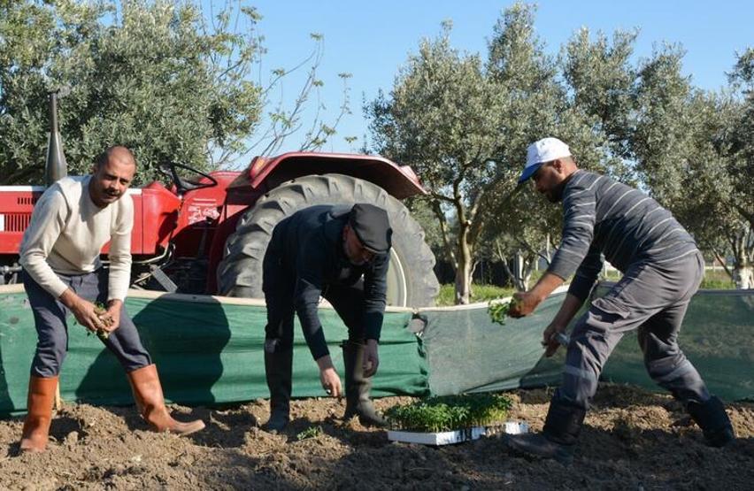 İşte Hüsnü Şenlendiricinin yeni hayatı