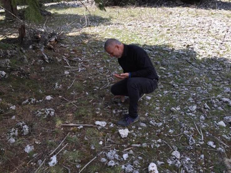 Bağışıklığı güçlendiriyor, hücreleri yeniliyor Kilosu 100 TL