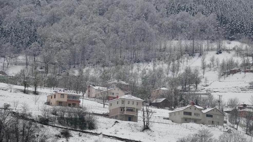 Doğu Karadenizin yükseklerinde kar yağışı