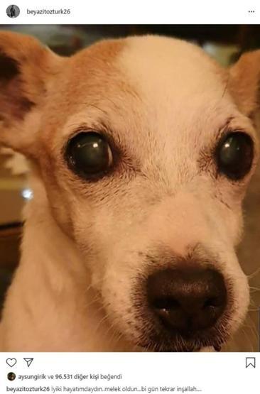 Beyazıt Öztürkün köpeği hayatını kaybetti