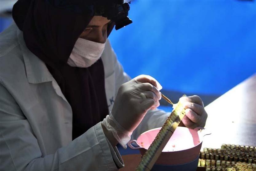 Koronavirüs talepleri artırdı... Kilosu 7 bin lira ama yok satıyor