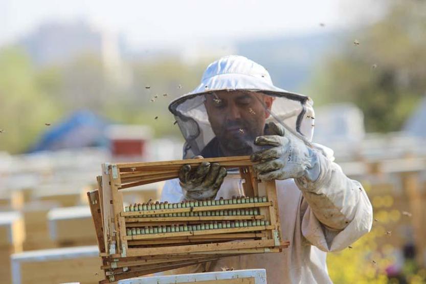 Koronavirüs talepleri artırdı... Kilosu 7 bin lira ama yok satıyor