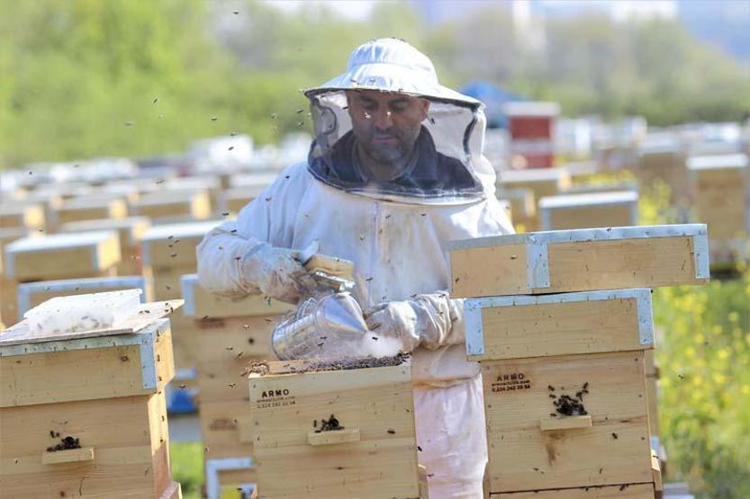 Koronavirüs talepleri artırdı... Kilosu 7 bin lira ama yok satıyor
