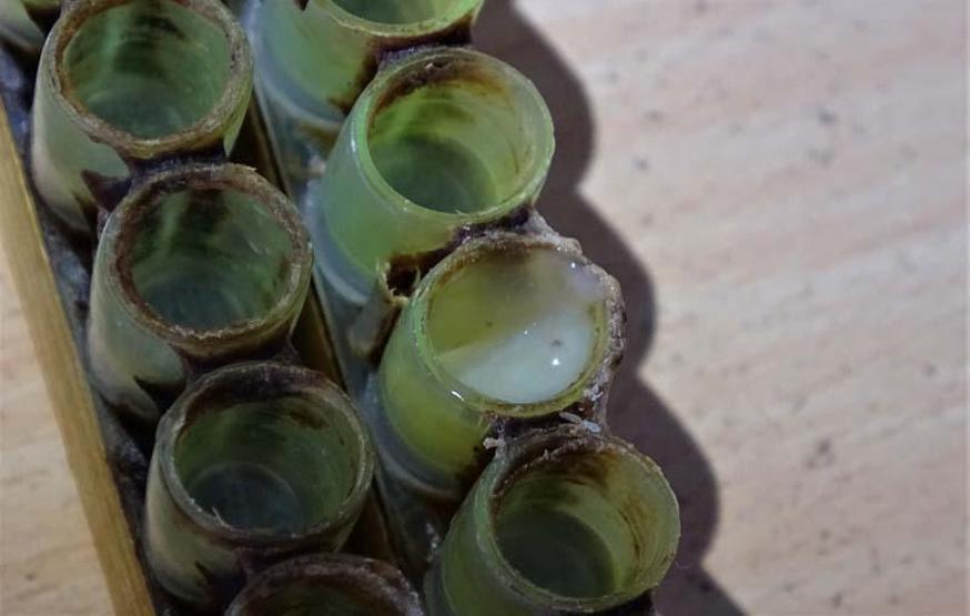 Koronavirüs talepleri artırdı... Kilosu 7 bin lira ama yok satıyor