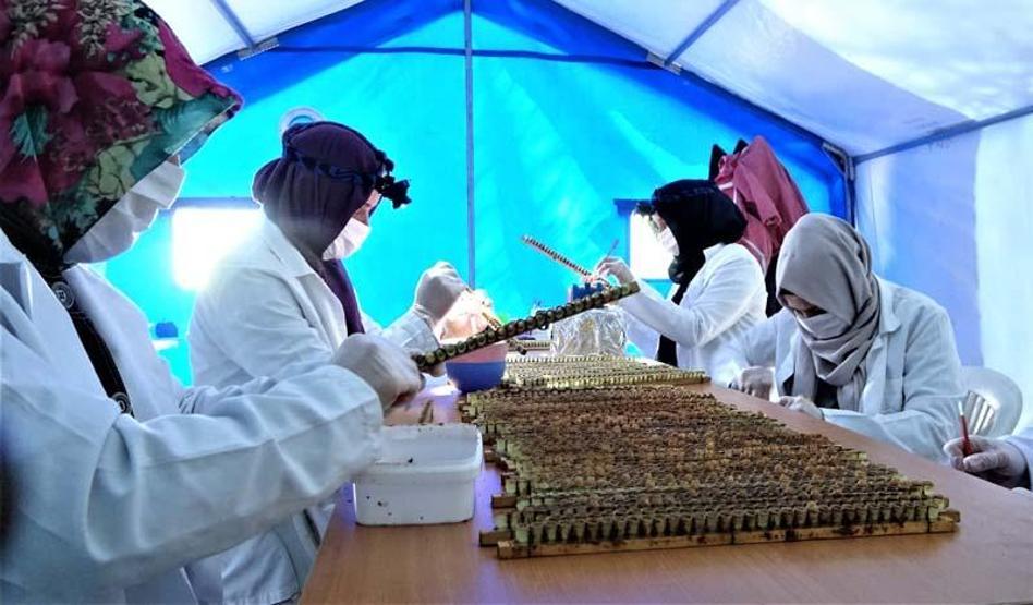 Koronavirüs talepleri artırdı... Kilosu 7 bin lira ama yok satıyor