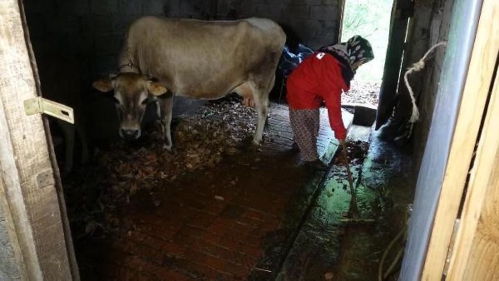 Bahar geldi, Karadenizli kadınlar tarlalara çıktı