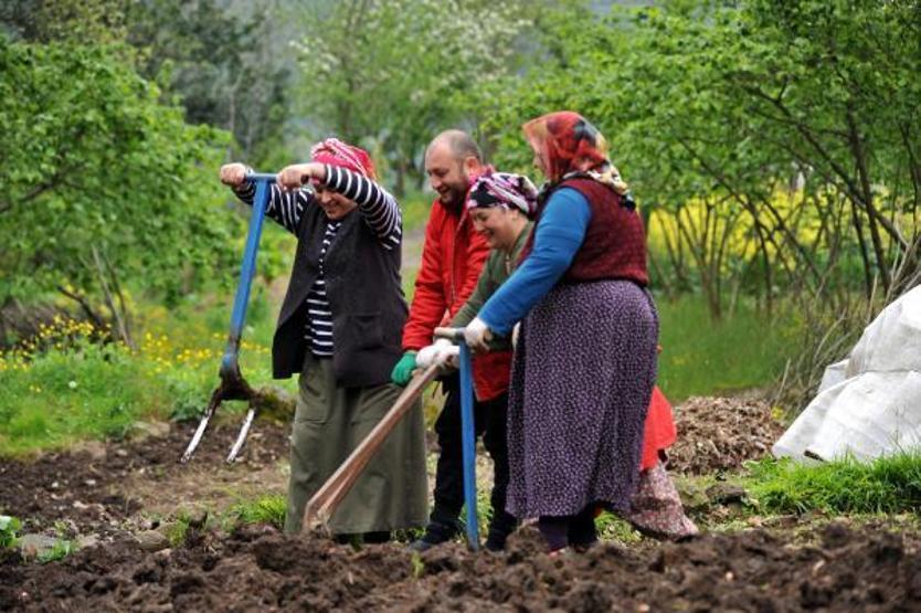 Bahar geldi, Karadenizli kadınlar tarlalara çıktı