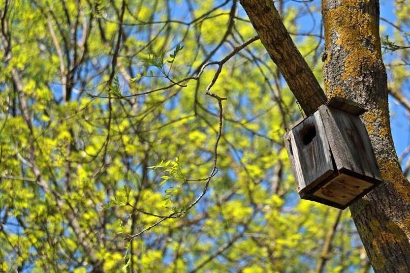 Sarıgazel Tabiat Parkı, sarıya büründü