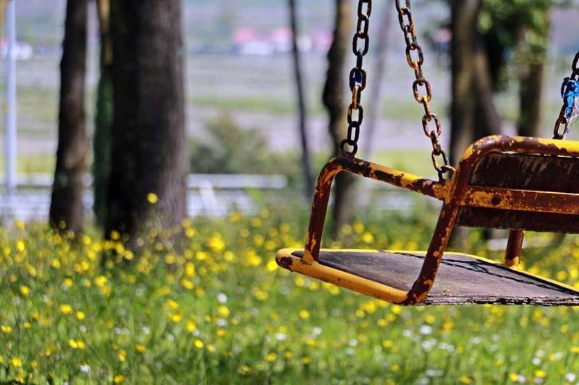 Sarıgazel Tabiat Parkı, sarıya büründü