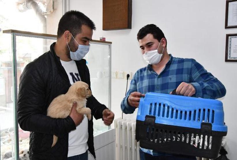 Sokağa çıkabilmek için hayvan satın alıyorlar