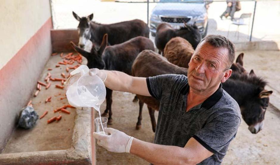 Eşek sütünün litresi 100 lira