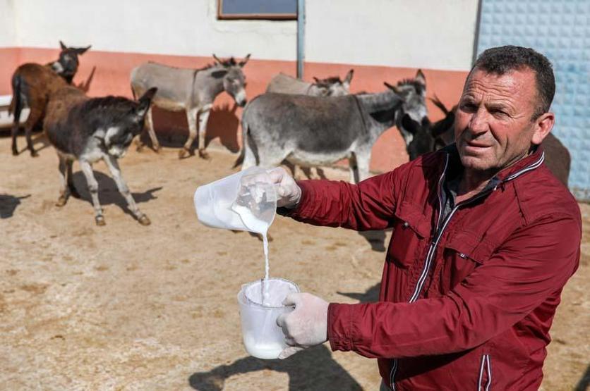 Eşek sütünün litresi 100 lira