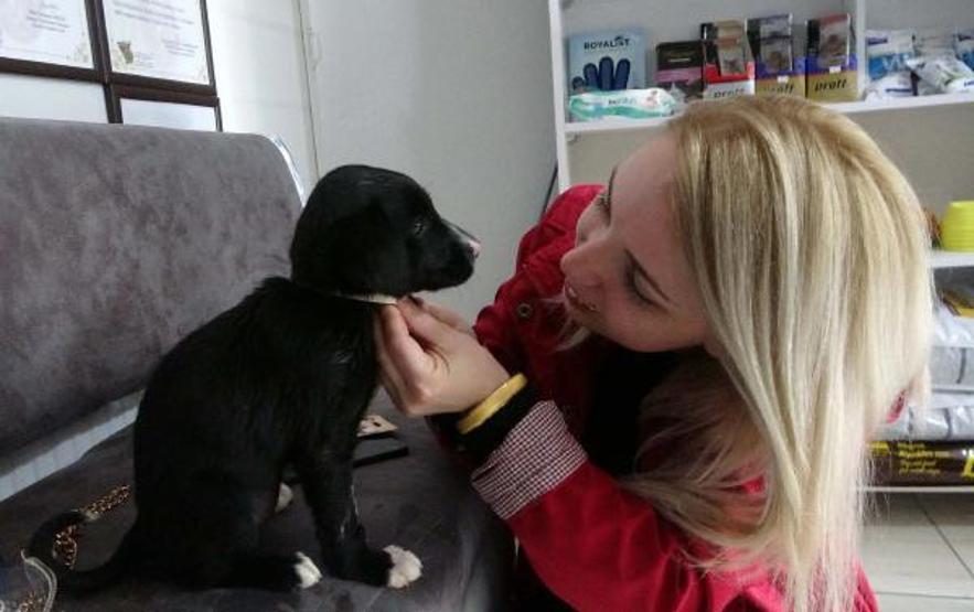 Bacağı kesilen yavru köpeği tedavisini üstlenip sahiplendi