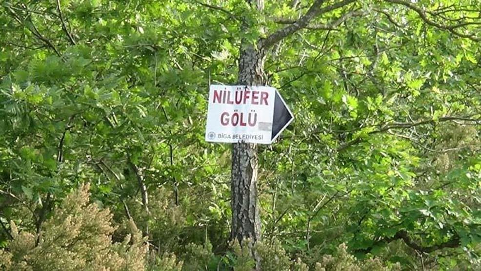 Dokunan yandı Cezası 73 bin TL