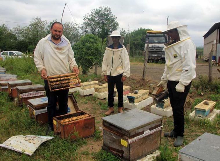 Koronavirüs sonrası talep patladı Kilosu 8 bin TL