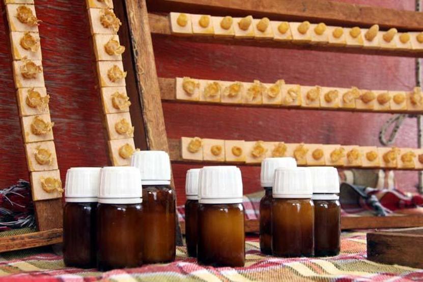 Koronavirüs sonrası talep patladı Kilosu 8 bin TL