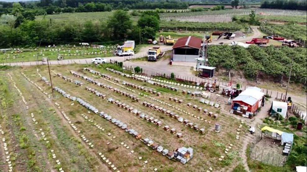 Koronavirüs sonrası talep patladı Kilosu 8 bin TL