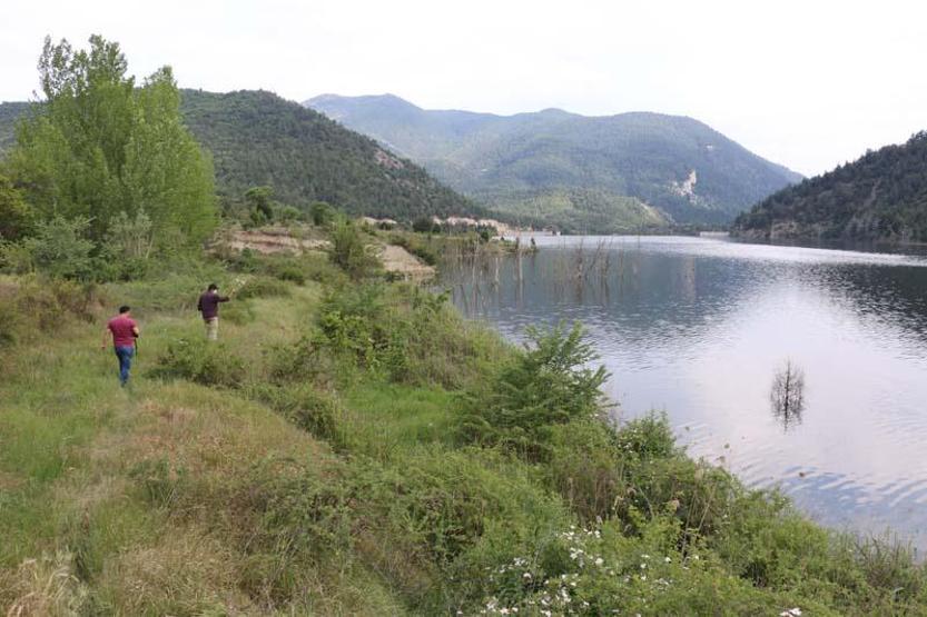 Toplu balık ölümleri sonrası inceleme başlatıldı