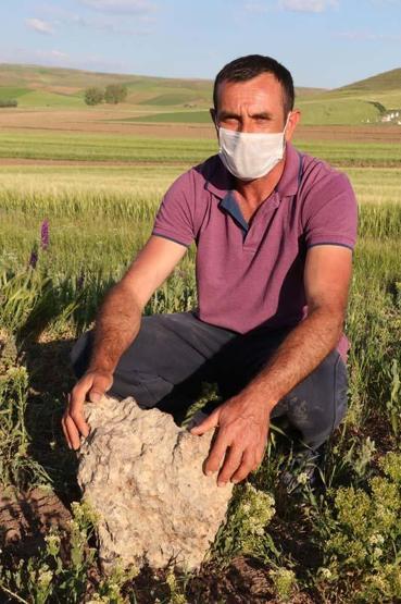 Tarlada bulduğu gök taşını satılığa çıkardı