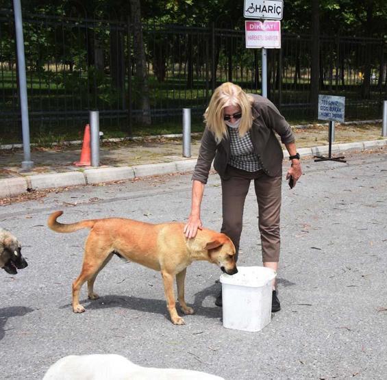 HAYTAP: Türkiyeyi eleştiren ülkeler hayvanları gaz odalarına gönderiyor