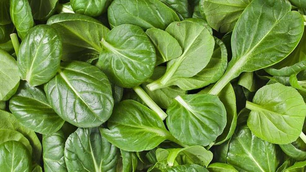 Hepsi doğal antibiyotik İşte o besinler