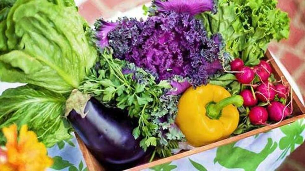 Sağlıklı ve kalıcı kilo vermenin 10 etkili kuralı