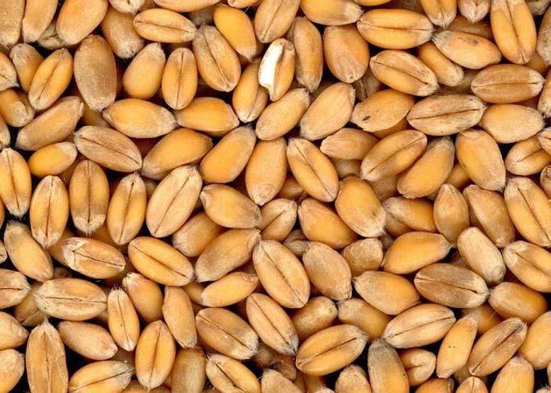 Etkisi kanıtlanmış en sağlıklı 50 besin