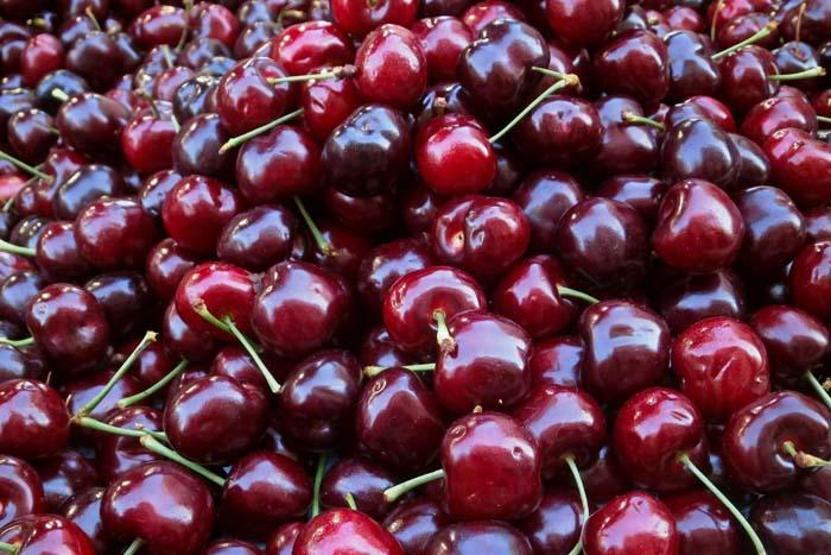 Migren ataklarına karşı koruyucu etkisi ortaya çıktı